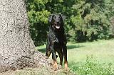 BEAUCERON 076